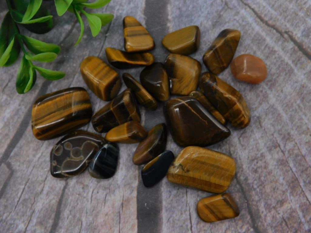 Tiger's Eye Tumbled Stone Lot with Carnelian: Collection of approximately eighteen polished tiger's eye tumbled stones in golden-brown banded tones, including a few black onyx-banded pieces, plus one small carnelian stone. Natural chatoyant
