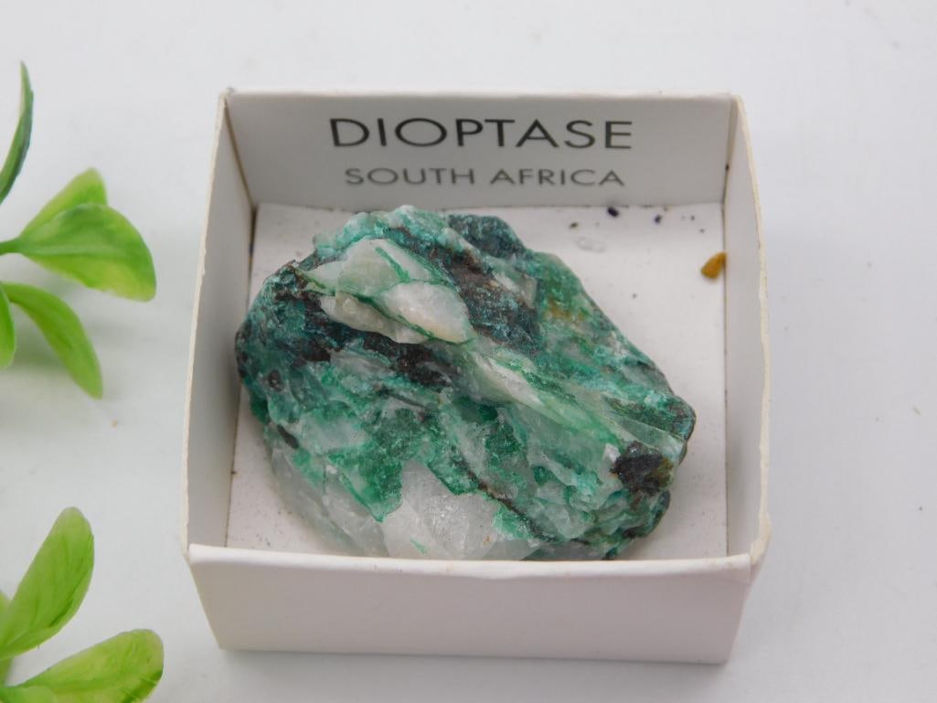 Mineral - Dioptase Specimen, South Africa: Bright green dioptase crystal specimen from South Africa in original collector's box with label. 27 grams. Shown with a 1966 quarter for scale.