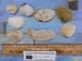 SEA SHELLS - 4