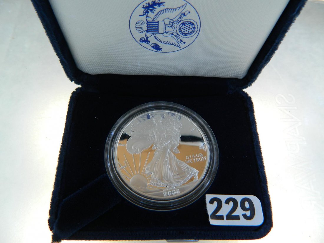 2006 SILVER AMERICAN EAGLE ONE DOLLAR PROOF 1 OZ SILVER: See photos for condition of coins. Each photo is of actual coin that will be shipping. Auction company makes no guarantees of grading unless grade is in decription. Photos of handwritten grades are no