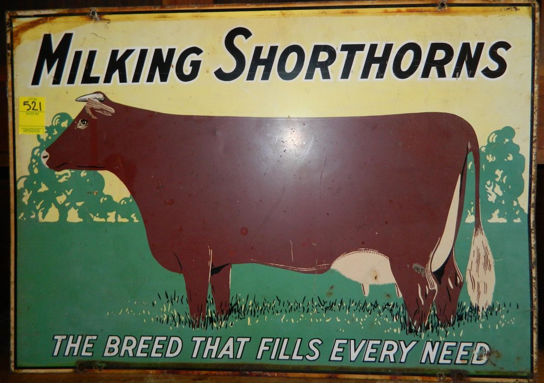 DOUBLE SIDED VINTAGE ADVERTISING SIGN COW "MILKING (1 of 2)