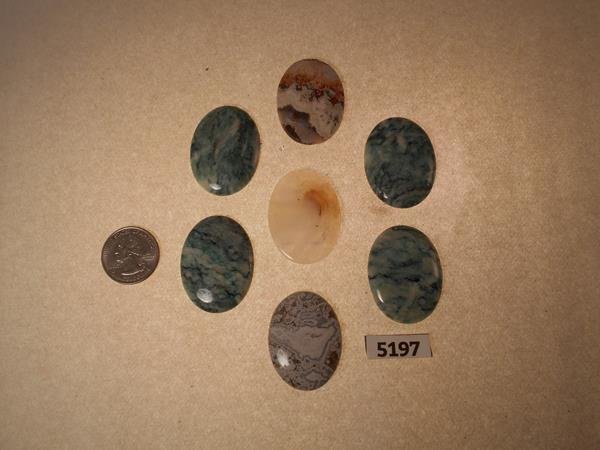 CABOCHONS ROCK STONE SPECIMEN LAPIDARY (1 of 1)