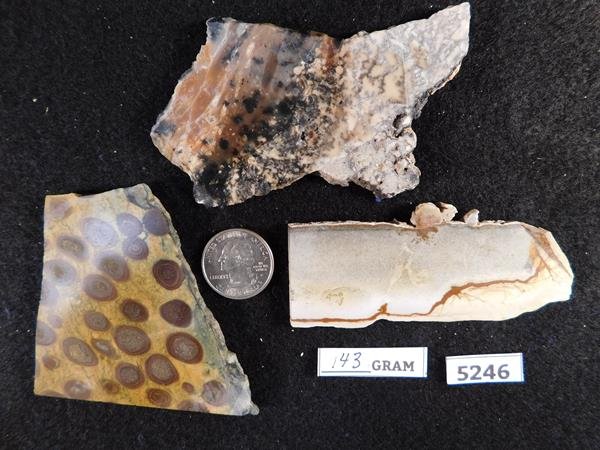 SLAB STONE MINERAL LAPIDARY SPECIMEN (1 of 1)