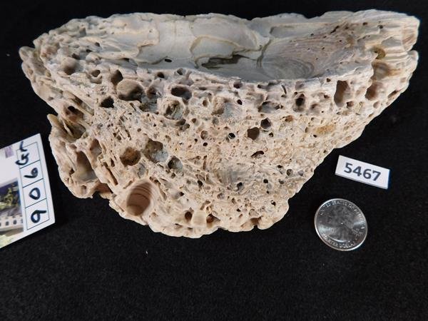 ROCK STONE SPECIMEN LAPIDARY: Thank you for attending HATMAN AUCTIONS! This is one of a series of auctions where we are selling one of the largest collections of rocks in the United States. Please see photos for measurements and d