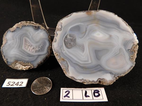 ROCK STONE SPECIMEN LAPIDARY  2 LB (1 of 1)