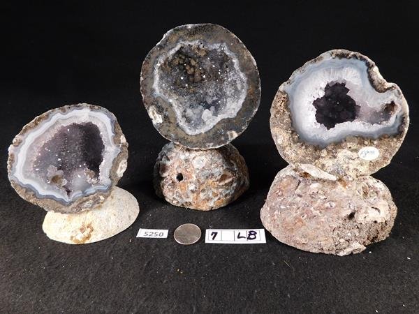 MEXICAN COCONUT GEODE 7 LB (1 of 1)