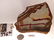 JASPER ROCK STONE LAPIDARY SPECIMEN