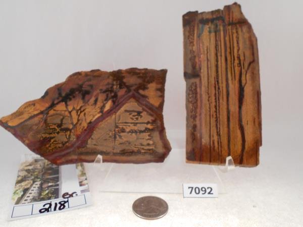 JASPER ROCK STONE LAPIDARY SPECIMEN (1 of 1)