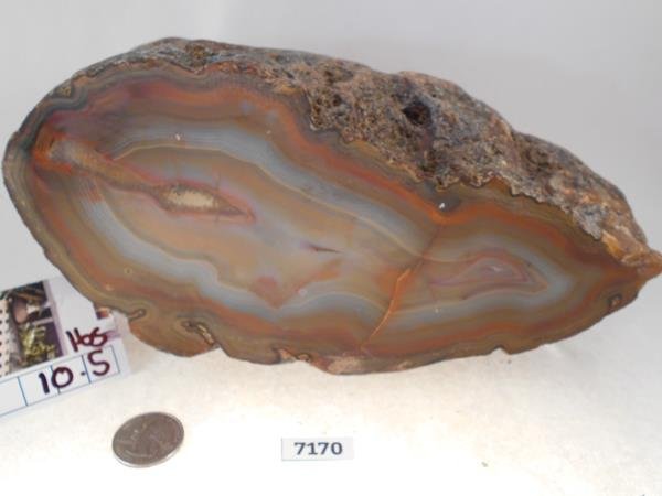 AGATE ROCK STONE SPECIMENT LAPIDARY: Thank you for attending HATMAN AUCTIONS! This is one of a series of auctions where we are selling one of the largest collections of rocks in the United States. Please see photos for measurements and d