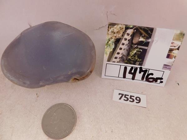 BLUE CHALCEDONY AGATE NODULE ROCK STONE SPECIMEN (1 of 1)