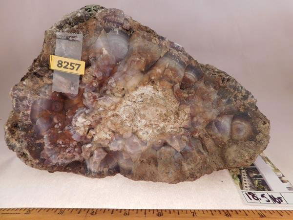 ROCK STONE LAPIDARY SPECIMEN (1 of 2)