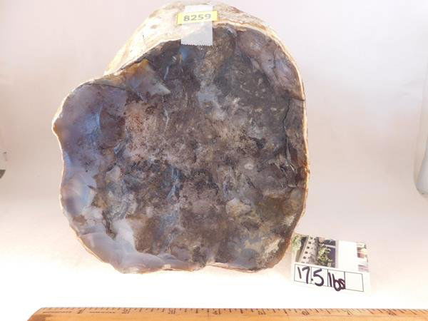 HUGE BLUE CHALCEDONY AGATE NODULE ROCK STONE SPECIMEN (1 of 10)
