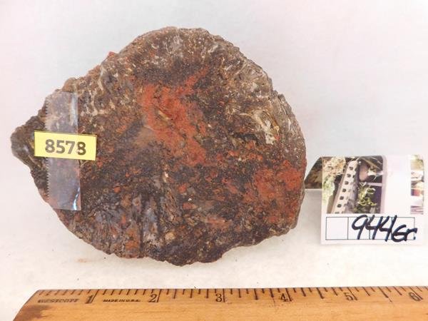 JASPER AGATE COPROLITE ROCK STONE SPECIMEN (1 of 3)