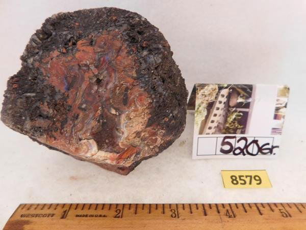 AGATE  ROCK STONE SPECIMEN LAPIDARY HUGE RARE (1 of 4)