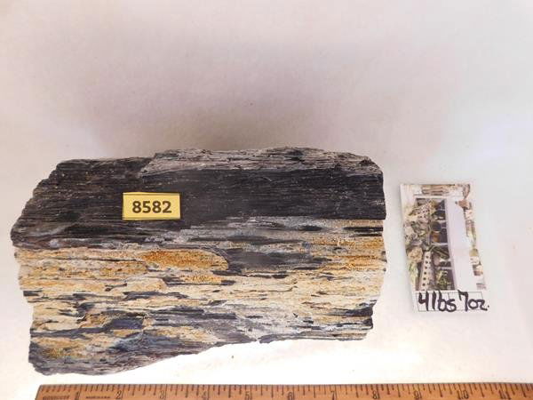 PETRIFIED WOOD ROCK STONE LAPIDARY SPECIMEN HUGE 47 LB (1 of 4)