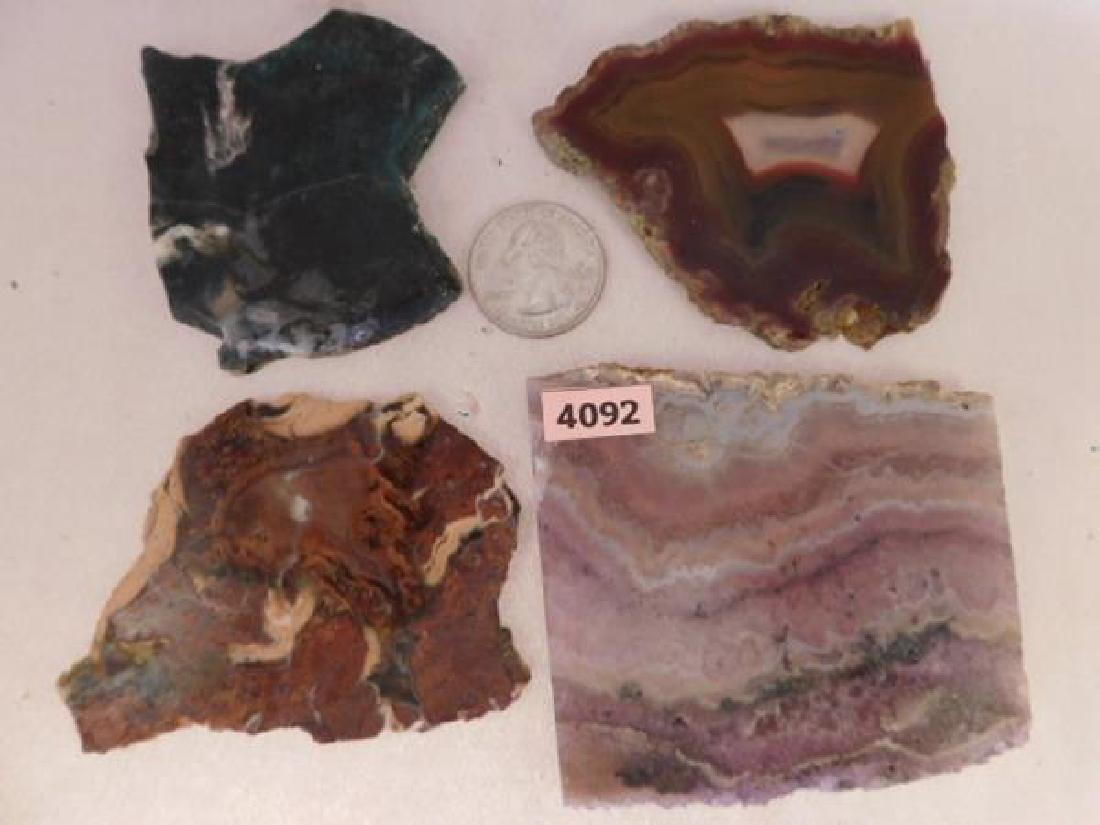 SLABS ROCK STONE LAPIDARY SPECIMEN  JASPER TIGER IRON (1 of 1)