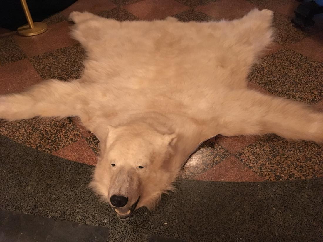 Open Mouth Polar Bear Skin Rug