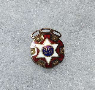 25 Pin 10 kt gold Nice pin.: Nice pin.
