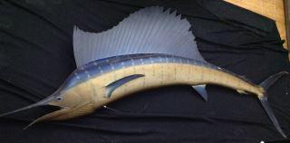 Marlin / Swordfish 9 Feet Long: 9 Feet Long