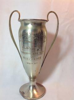1927 Irish Setter Best of Opposite Sex H 11 x W: H 11 x W 7 Loving Cup