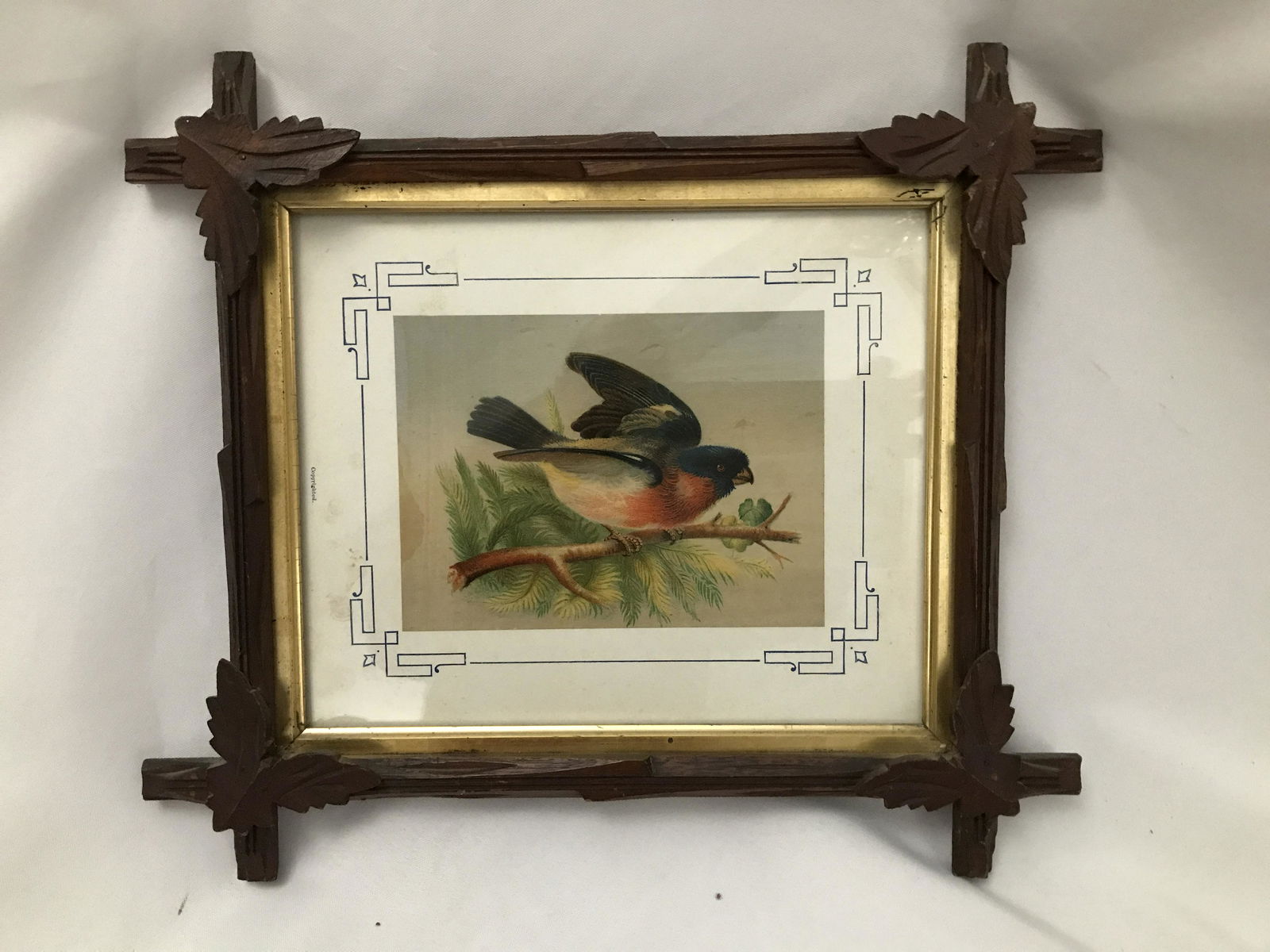 Wood Framed Bird Lithograph Frame measures 14 by 16 (1 of 4)