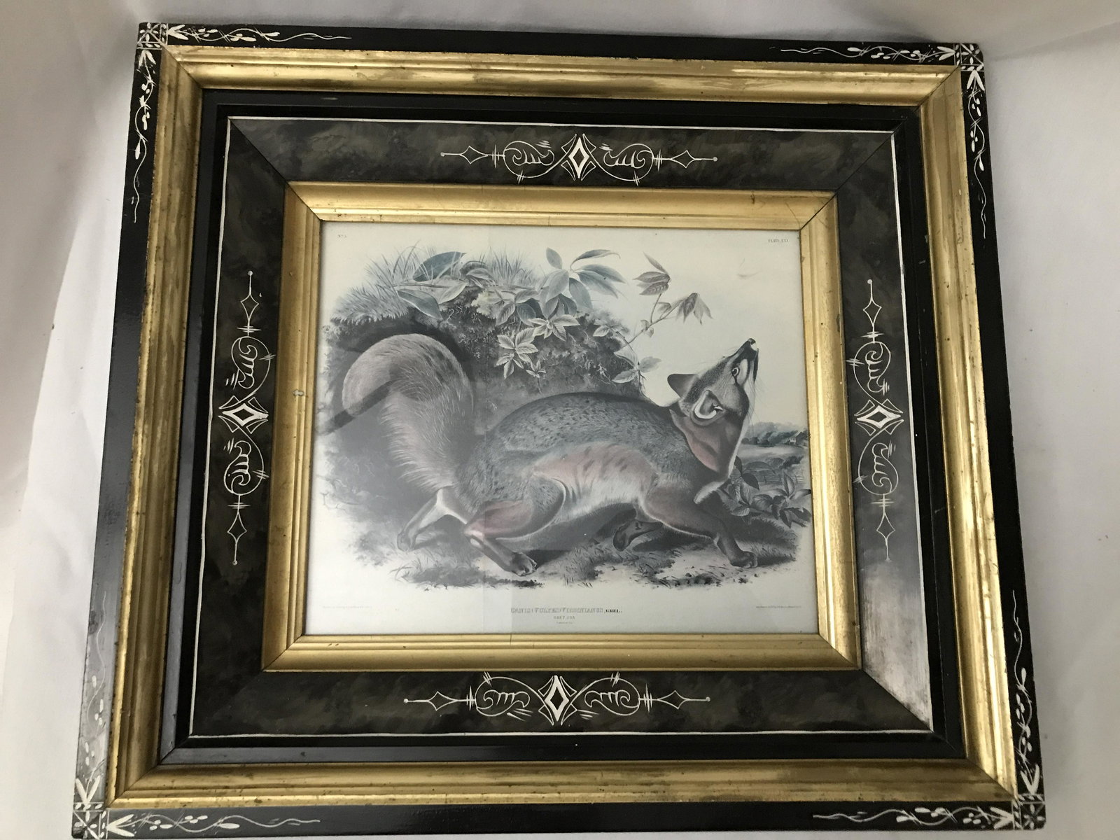 Grey Fox Lithograph in Step Down Frame Victorian Step (1 of 5)