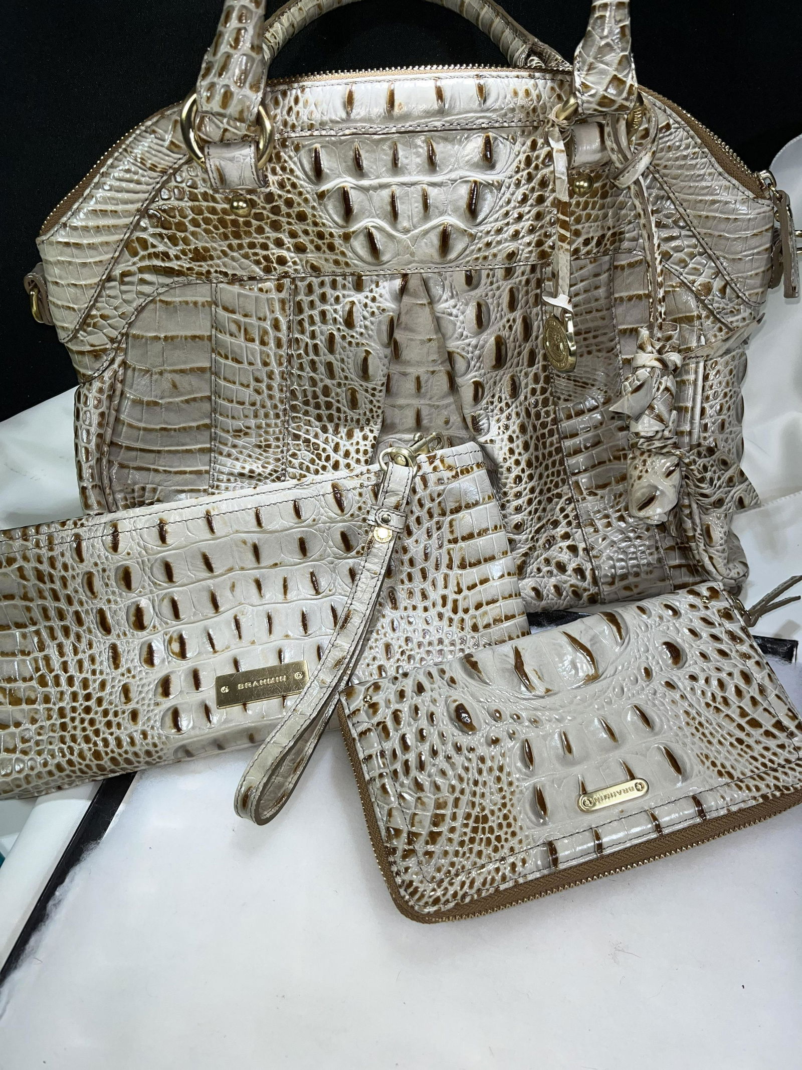 Brahmin Purse Never Used ! (1 of 20)