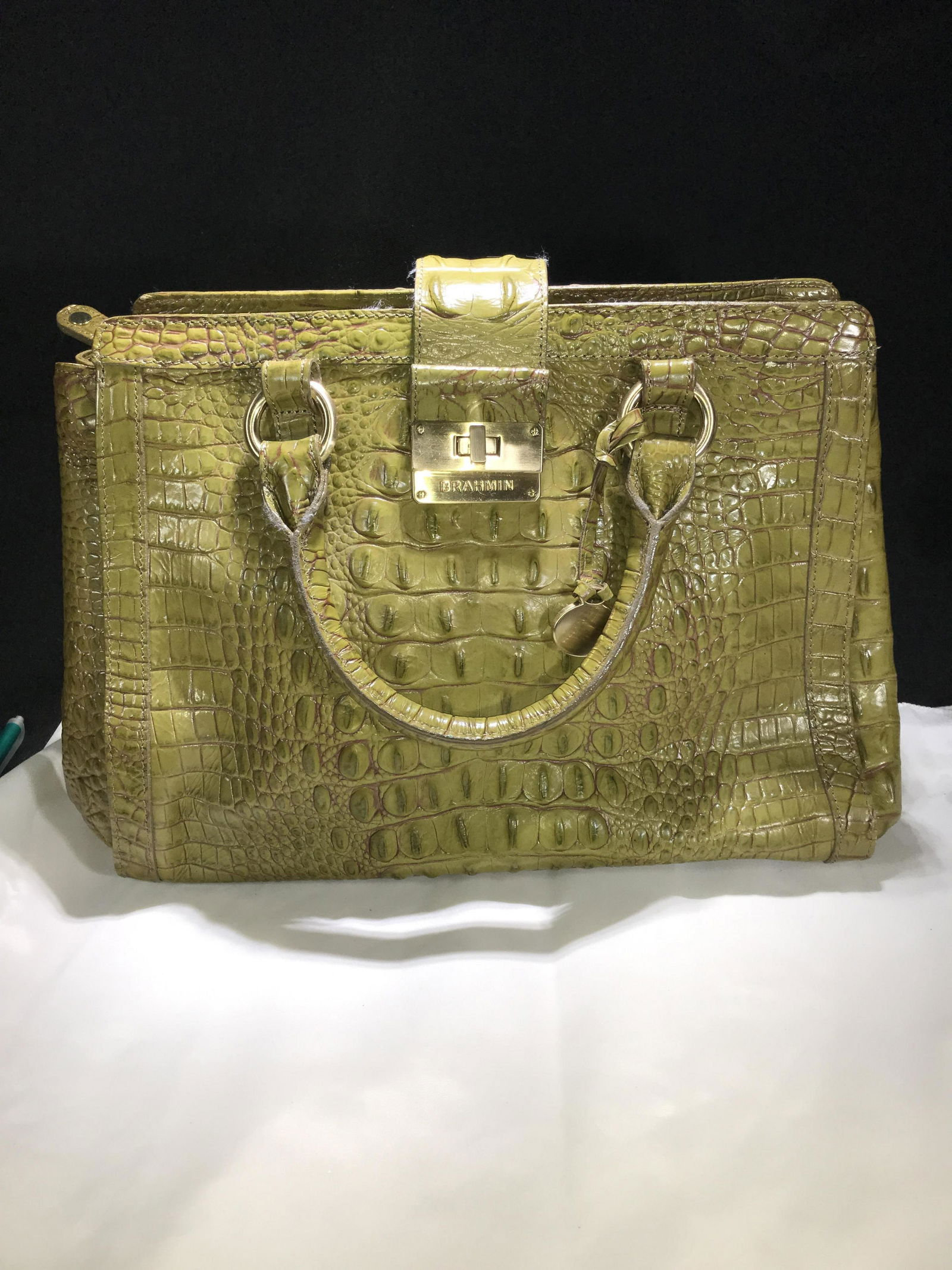 Brahmin Crocodile Green Purse .Never Used ! (1 of 8)