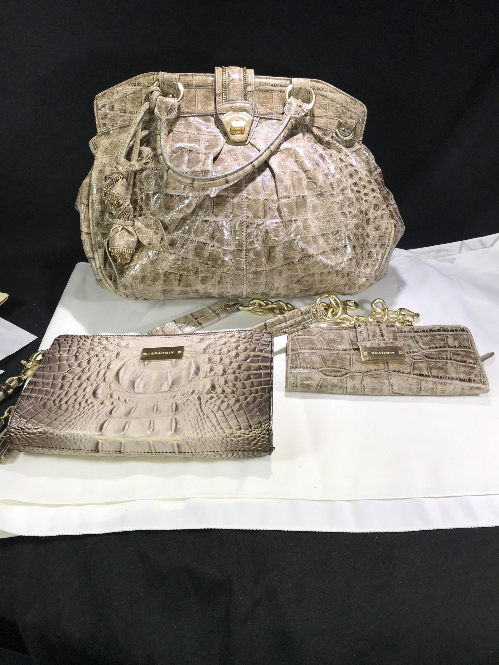 Brahmin Pale Green Handbag w/ Accessories . (1 of 11)
