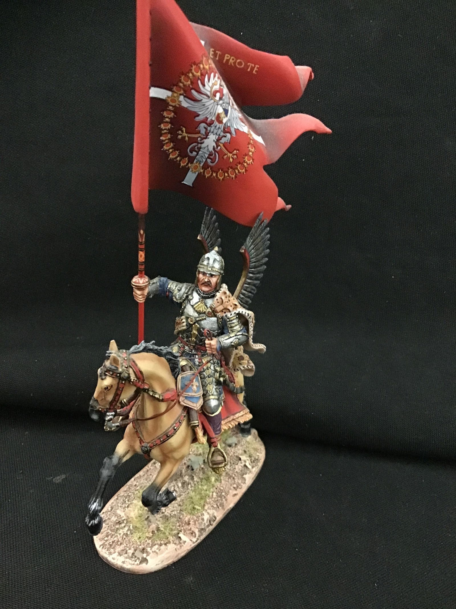 First Legion TYW005b Polish Winged Hussar (1 of 5)