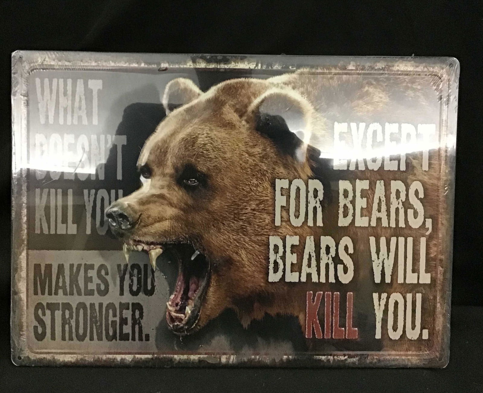 Tin Funny Bear Sign (1 of 2)