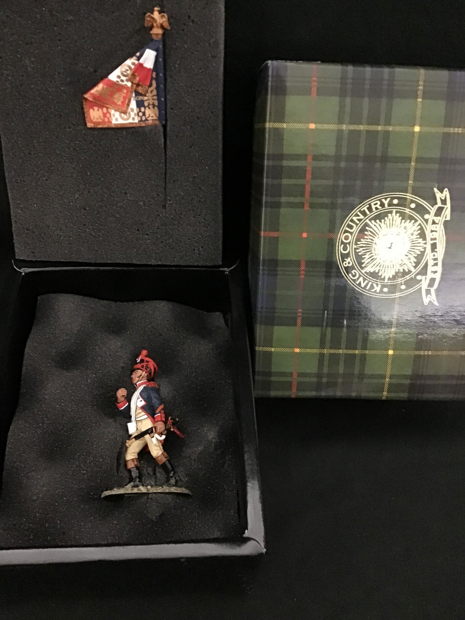 King & Country Age of Napoleon NA58 Flagbearer (1 of 4)