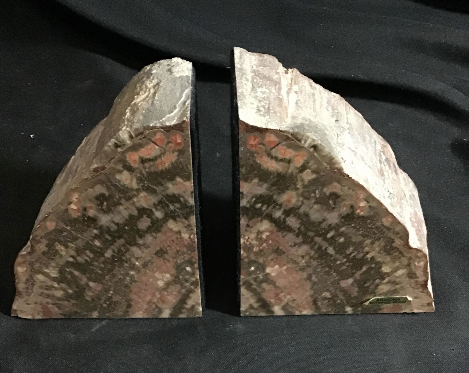 Arizona Petrified Wood Bookends Smooth One side .: .
