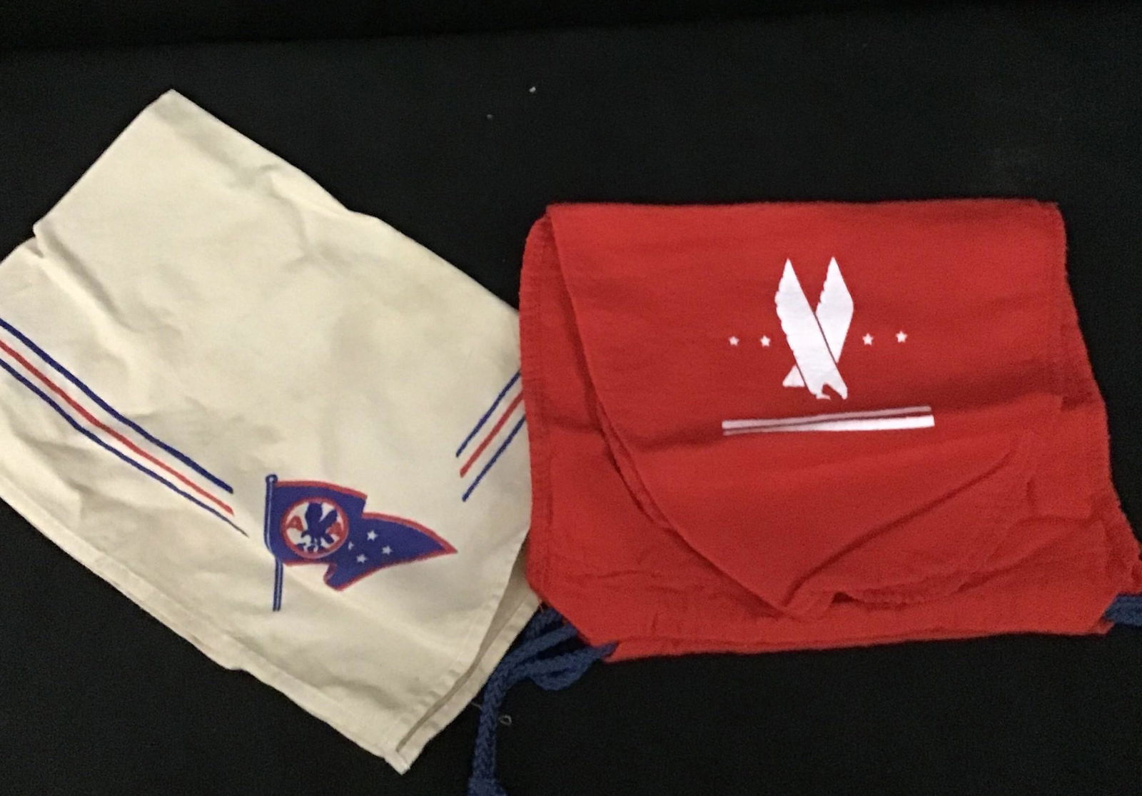 Vintage American Airlines Bag & Cleaning Cloth .: .
