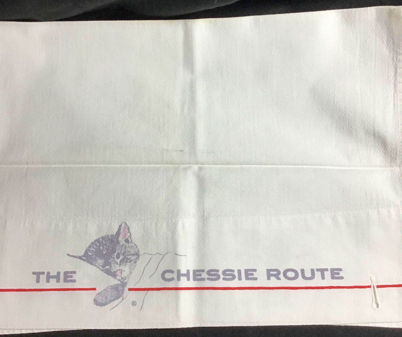 The Chessie Route Hand Towel .: .