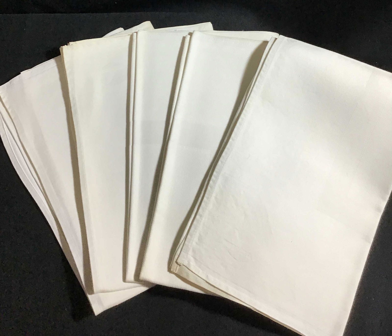 Eastern Airlines Hand Towels (5) measuring 23" x 17": measuring 23" x 17"