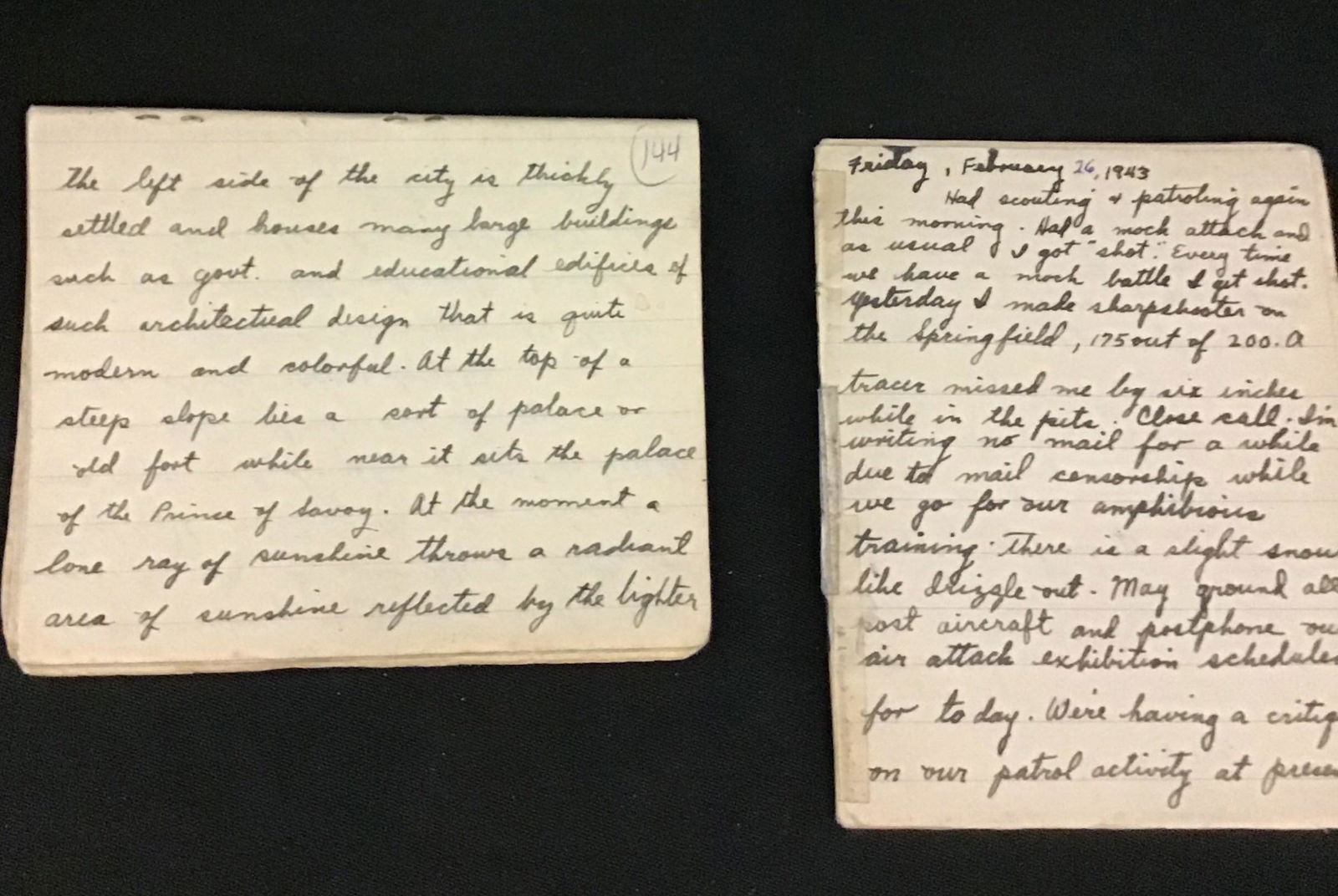 Army Diaries with Sketchings (1 of 6)