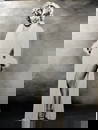 Marilyn Monroe White Robe on Wide Wood Frame