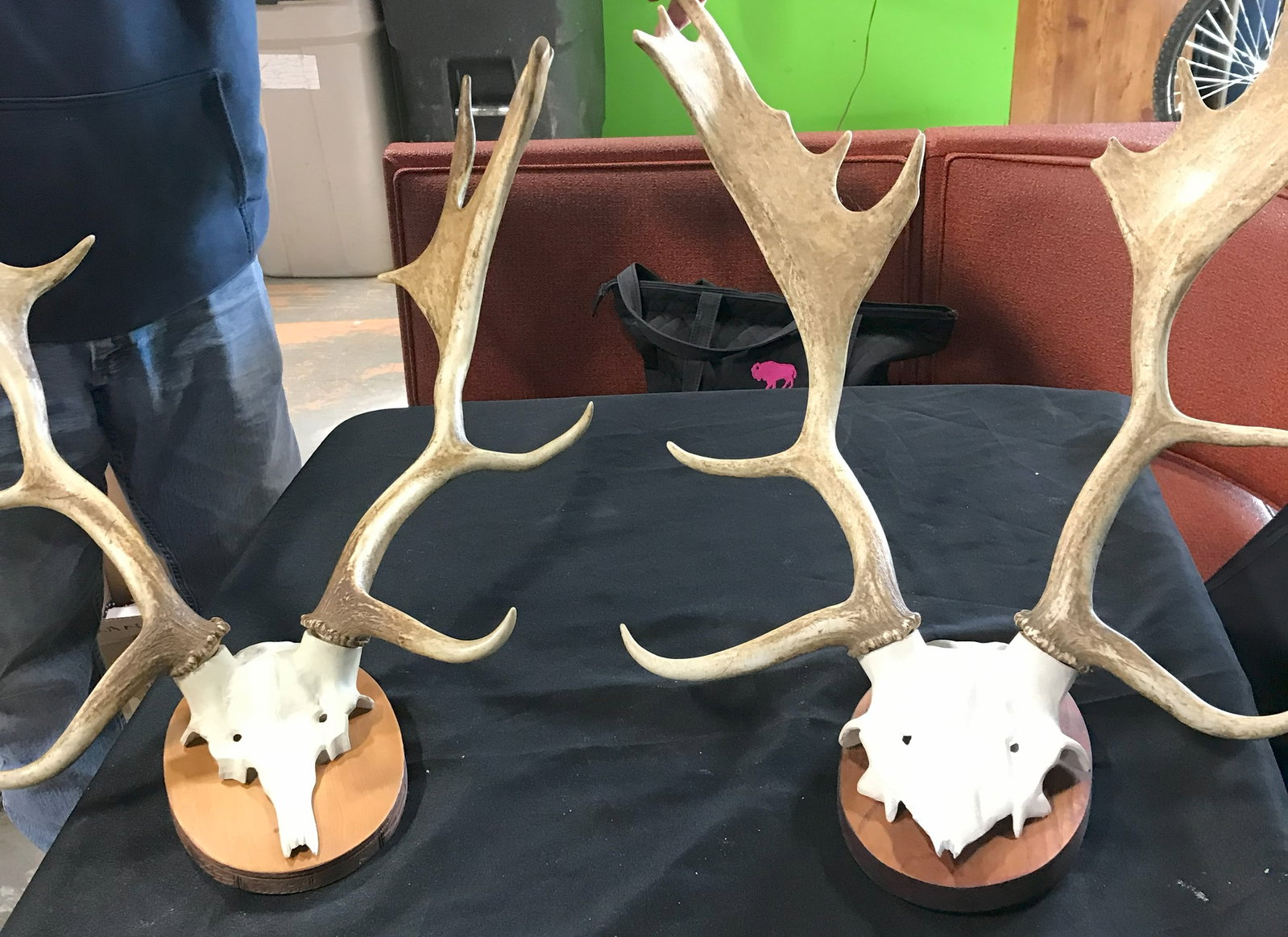 Antler Mounts (2): Well displayed mounts!