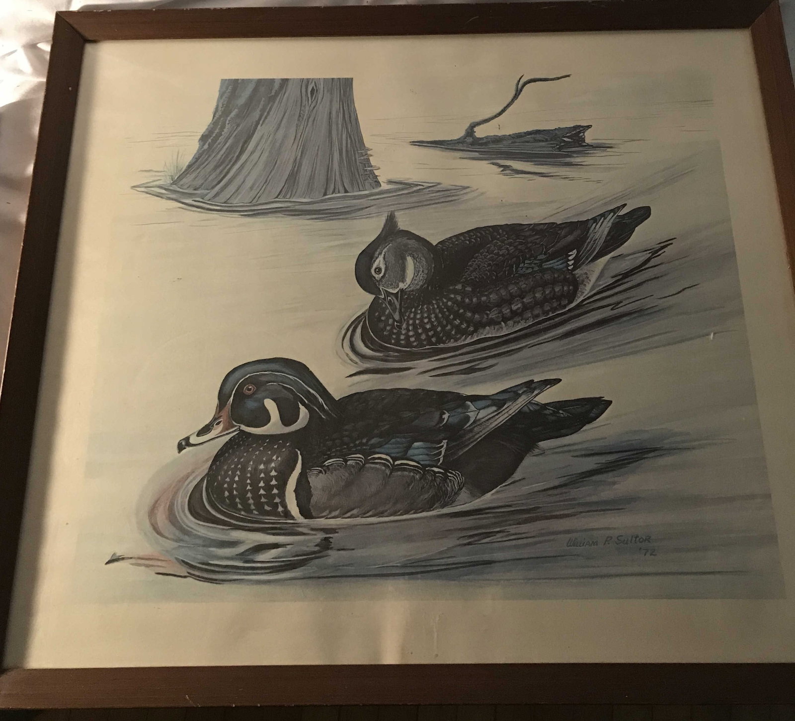 Swimming Ducks Print (1 of 3)