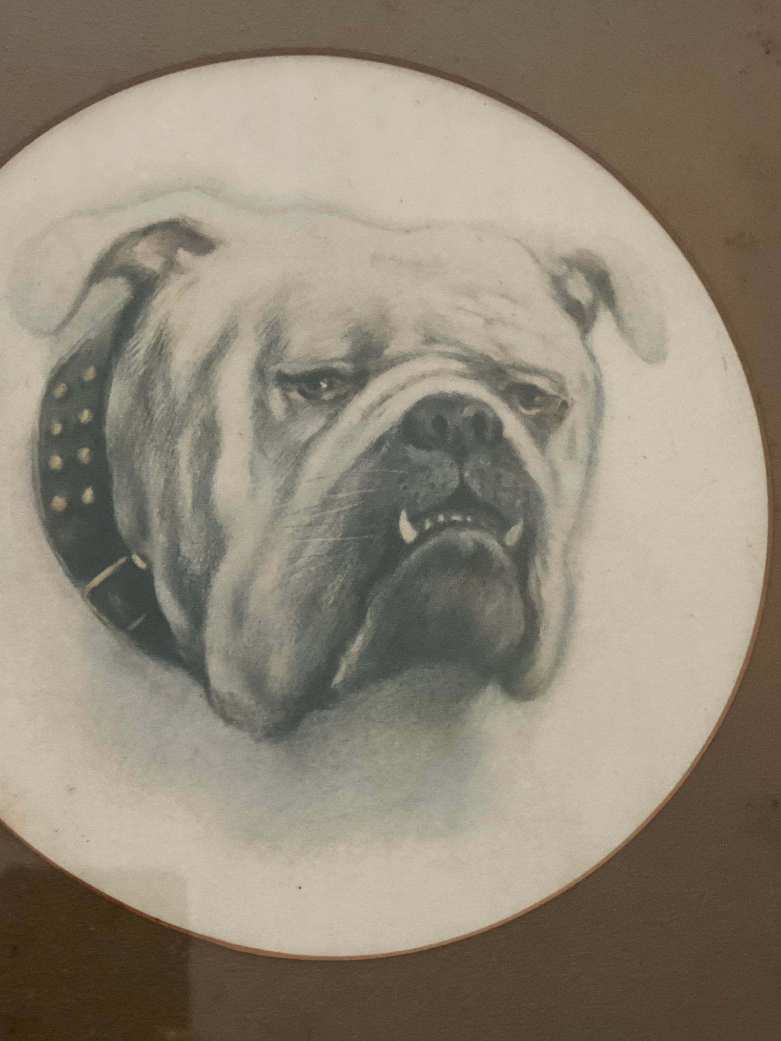 Bulldog Engraving with Tiger Oak Frame: Under Glass, frame measures 13 1/2 x 13 1/2 inches