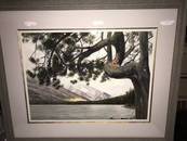 Robert Highsmith UNDER THE PINE, TETONS