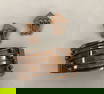 Copper Color Bangle Bracelet w/ Matching Earrings