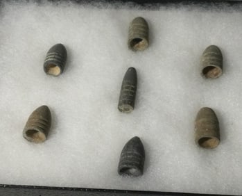 Musket Bullet Shell Collection (7)