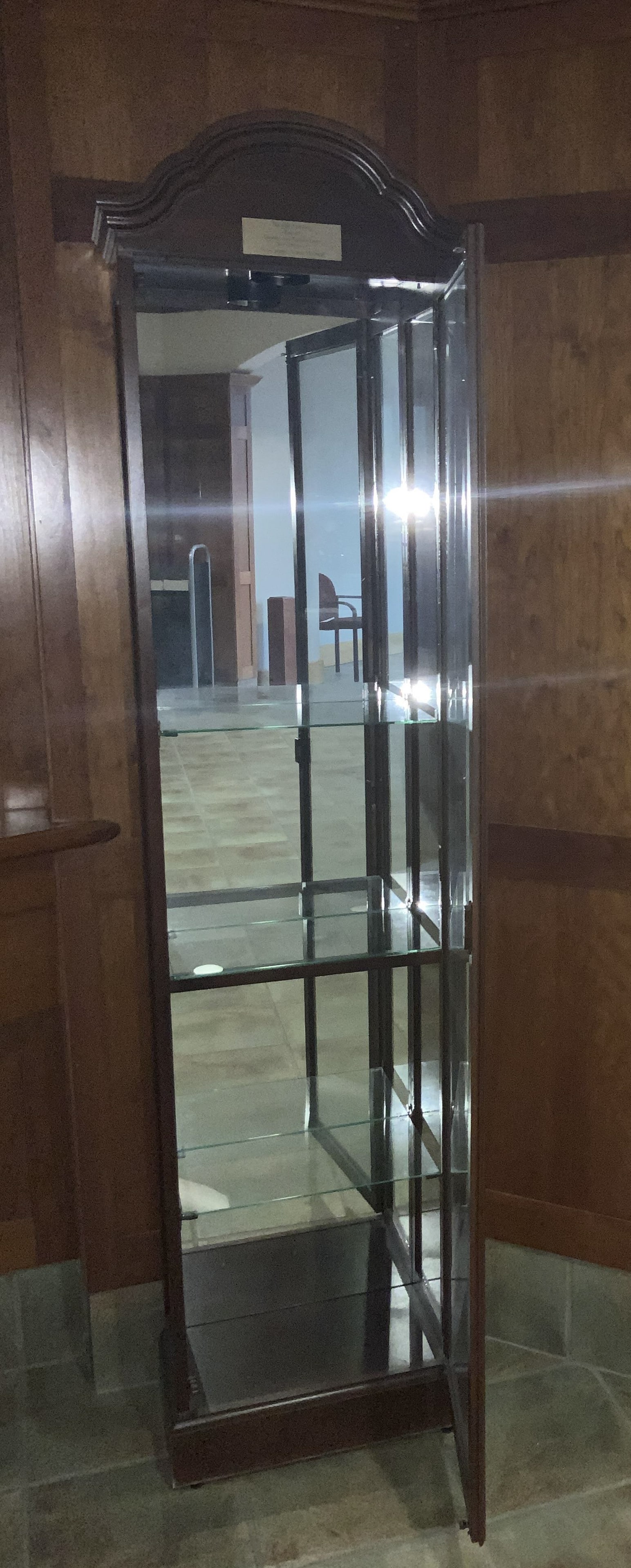 Tall Display Cabinet (1 of 4)