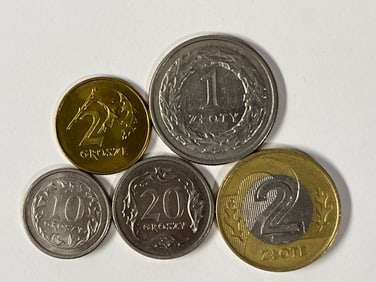 Polish Coin Collection