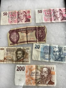 Foreign Currency Collection