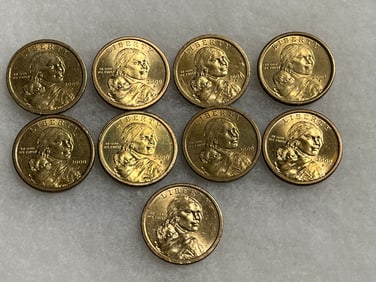 Sacagawea Dollar Coins (9)