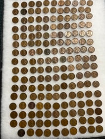 Wheat Penny Collection (175)
