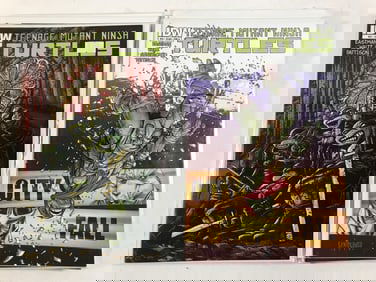 Teenage Mutant Ninja Turtles Comic Book Collection